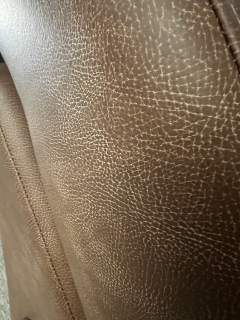 USED 2025 250 INTRIGUE RF - DL