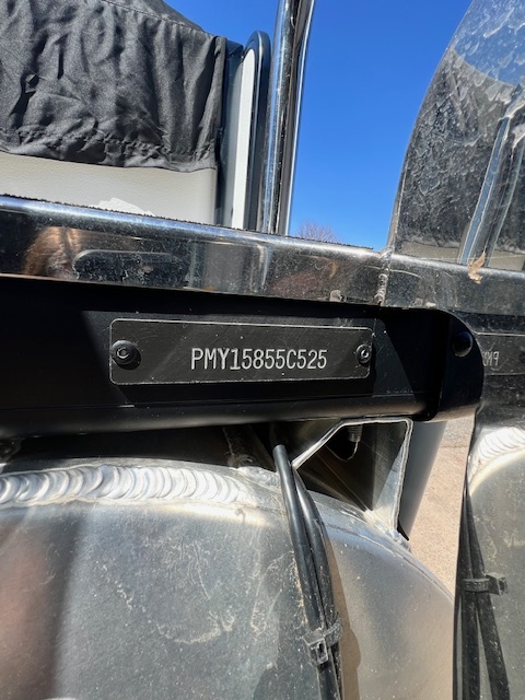 USED 2025 250 INTRIGUE RF - DL