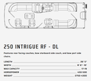 USED 2025 250 INTRIGUE RF - DL
