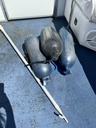 USED 24' WEERES PONTOON W/40HP EVINRUDE 2-SRTOKE